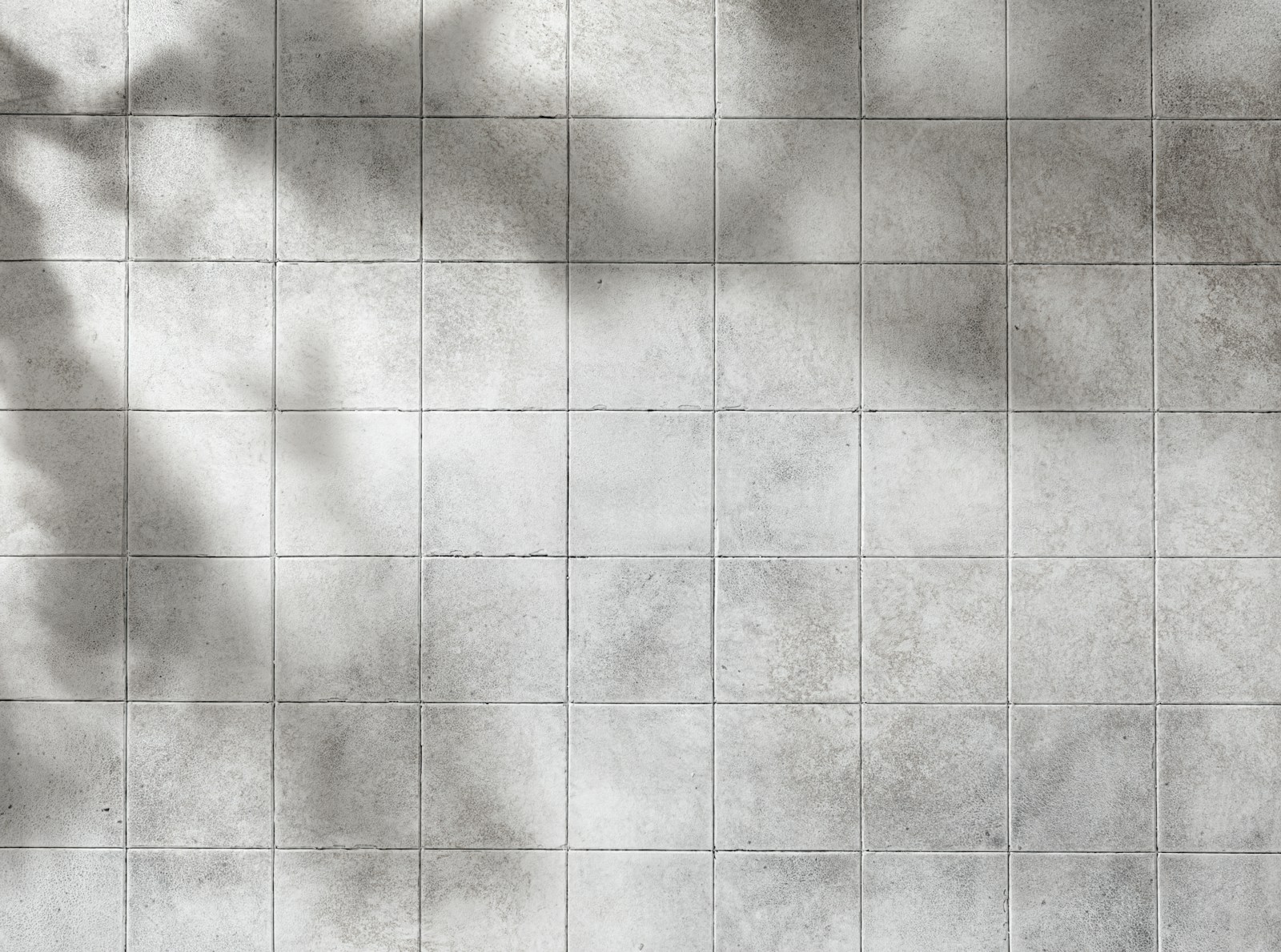 a shadow of a tree on a tile wall