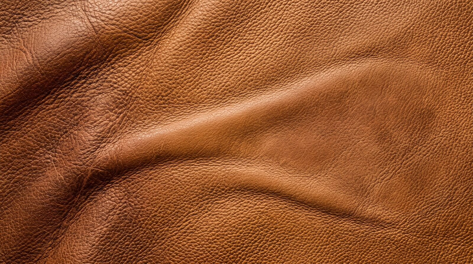 Close-up of textured brown leather material